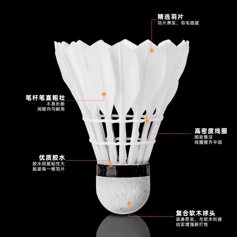 Lion Badminton Federbälle aus  – Feather Shuttlecock Bewertung und Preis